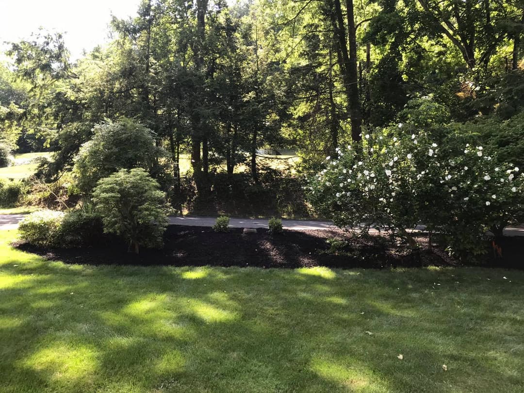 Lush garden with flowering bushes and trees along a winding pathway in a sunny setting.