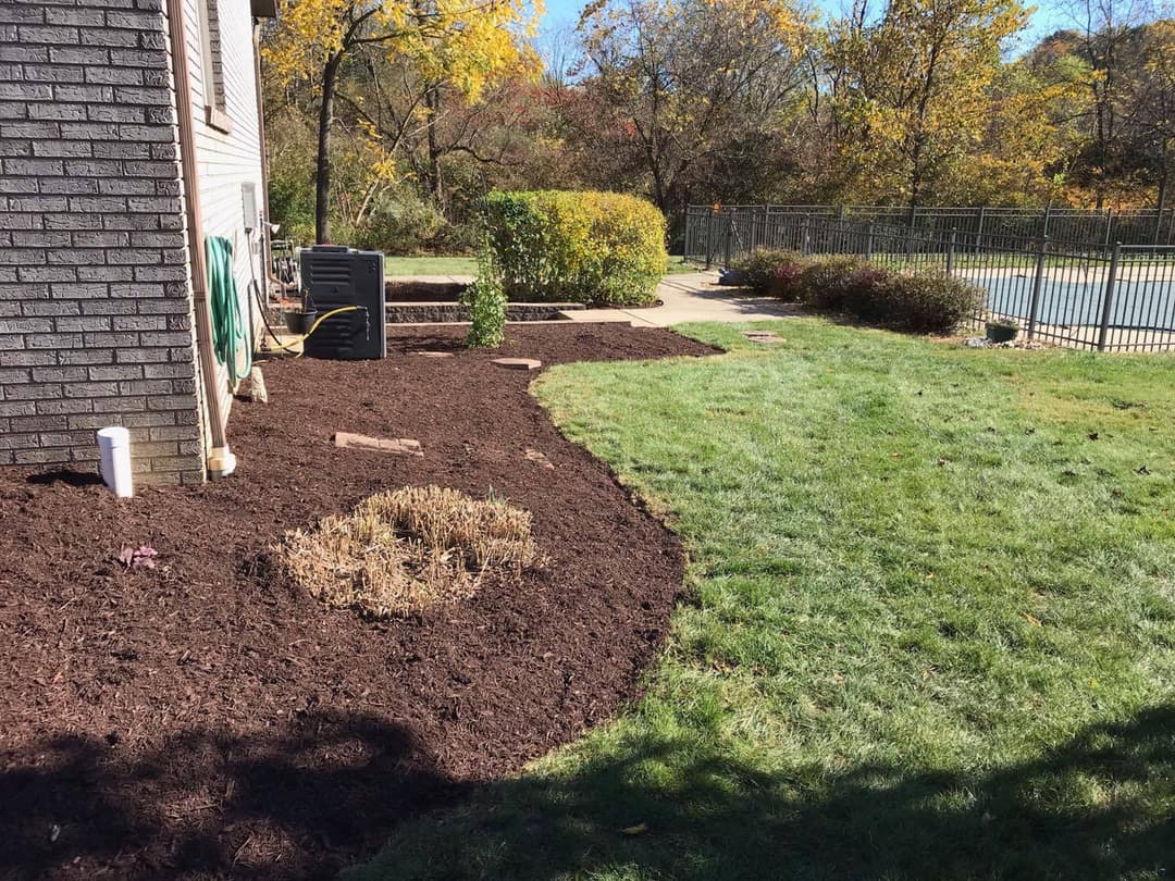 Landscaped yard with fresh mulch, shrubs, and a swimming pool in the background.
