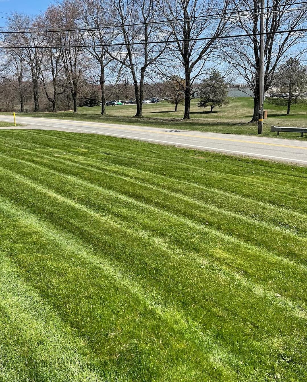 Lush green lawn with striped grass pattern alongside a quiet, tree-lined road.