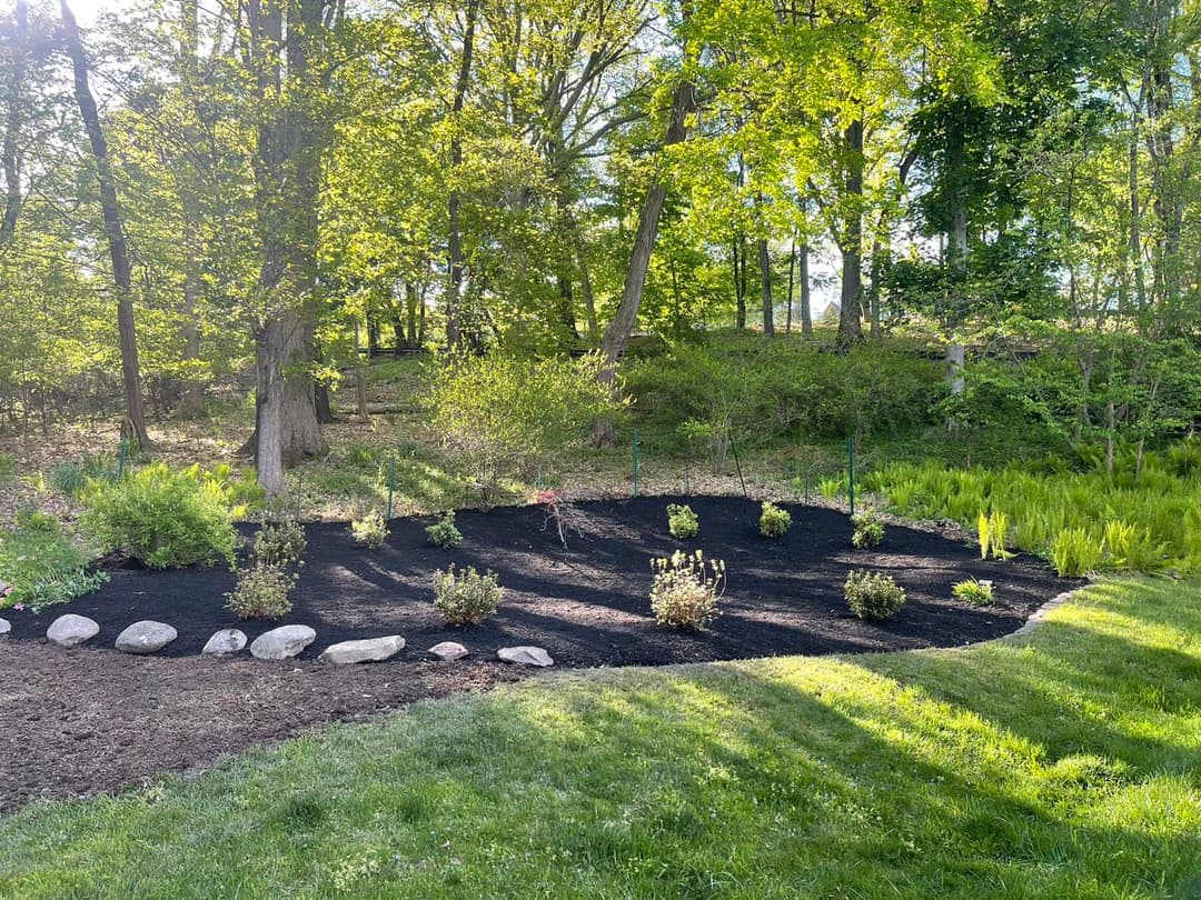 Lush garden with freshly mulched soil and newly planted flowers surrounded by trees.