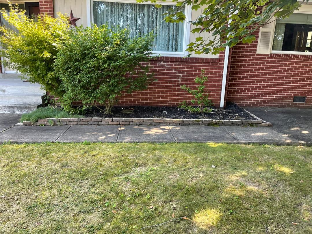 Front yard landscaping featuring shrubs and a stone border along a brick house.