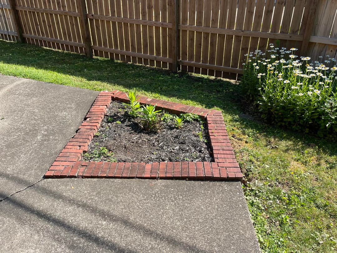 Flower bed bordered by red bricks, featuring green plants, next to a concrete path and wooden fence.