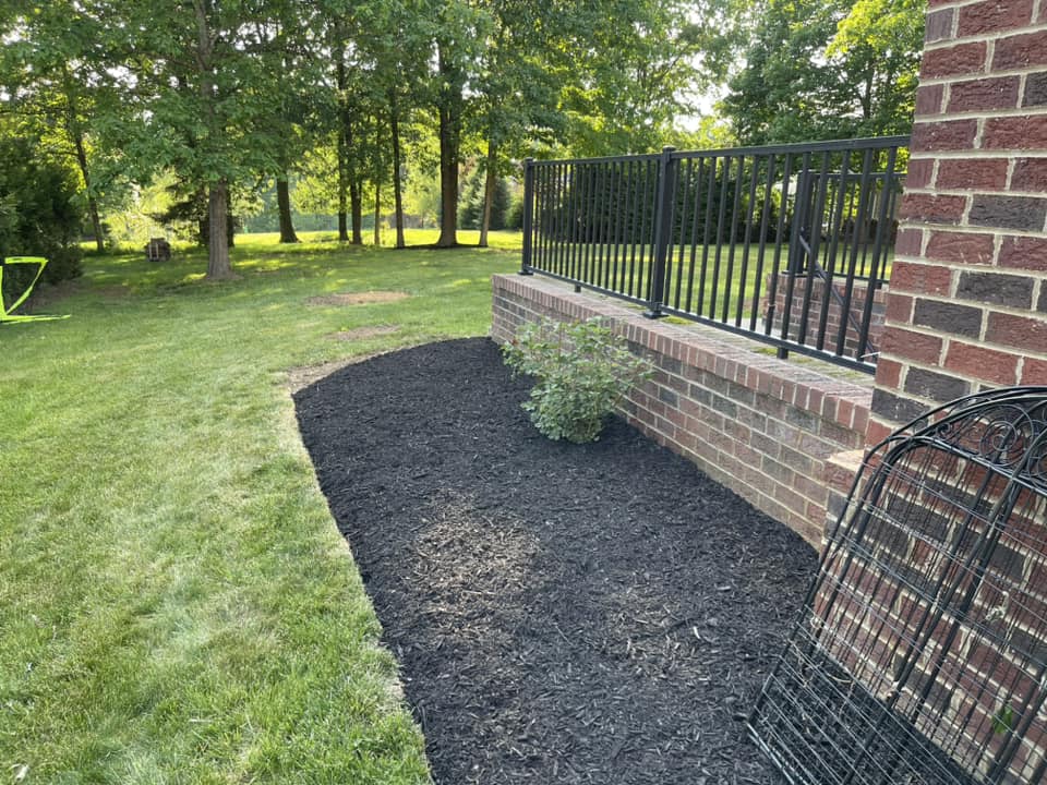 Landscaped garden with fresh mulch, brick wall, and green grass in a sunny backyard setting.