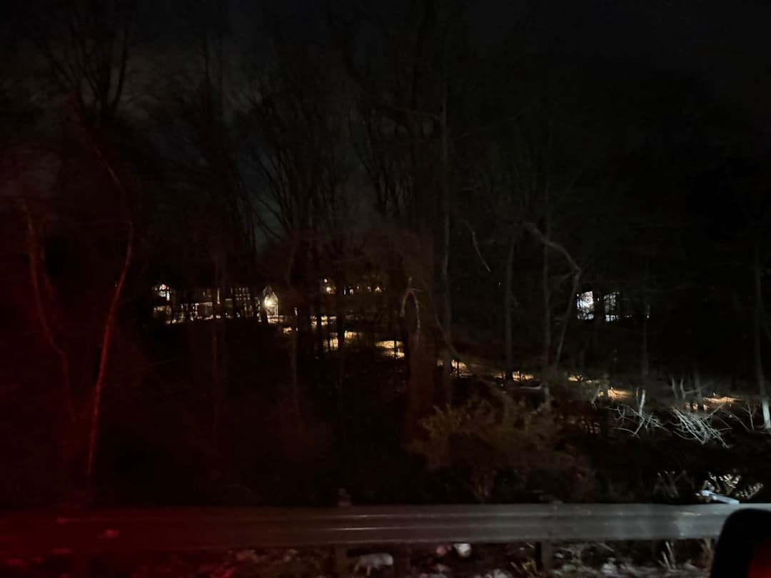 Nighttime view of illuminated homes through dark trees in a wooded area.