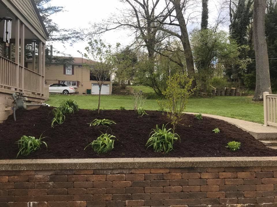Landscape with flower beds and mulch near a house, featuring trees and a lawn in the background.