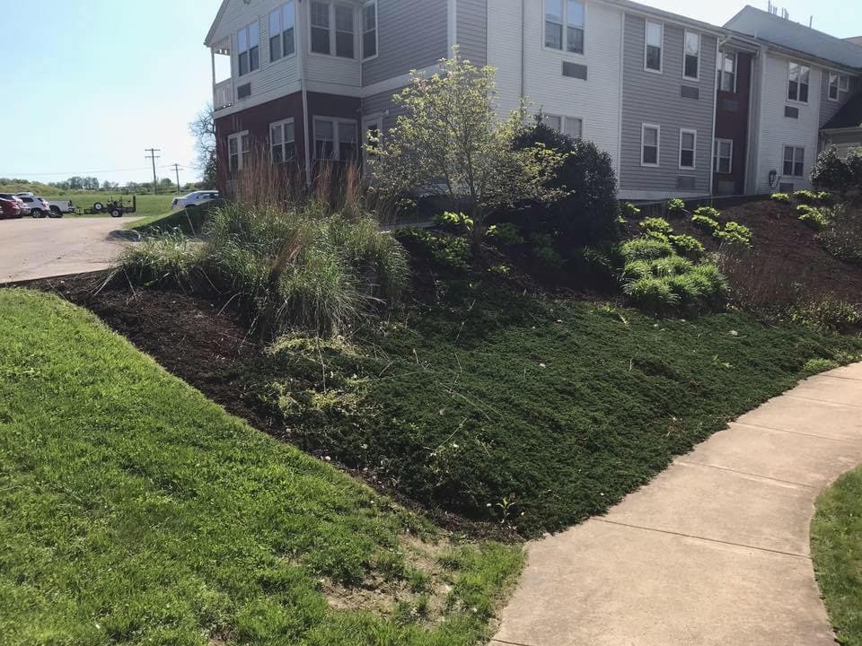 Landscape of a well-maintained residential area with green shrubs and walkways.
