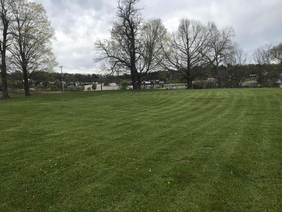 Lush green grass land with trees, clouds, and distant buildings under a cloudy sky.