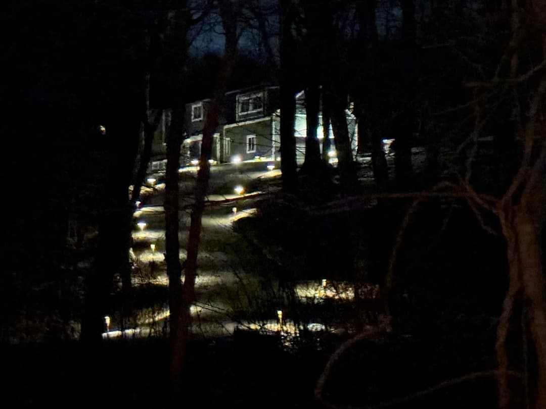 Illuminated pathway leading to a house in a dark wooded area at night.