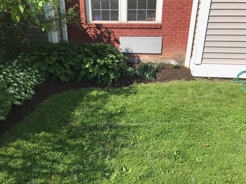 Lush green lawn with landscaped flower beds and vibrant foliage near a brick house.
