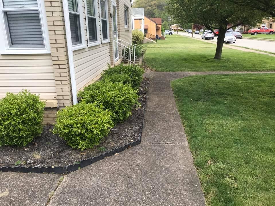 Well-maintained sidewalk and landscaped bushes in a suburban neighborhood setting.