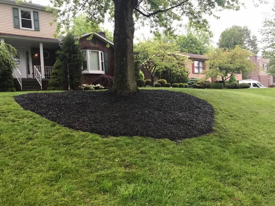Mulched landscaping around a tree in a residential yard, enhancing curb appeal and greenery.