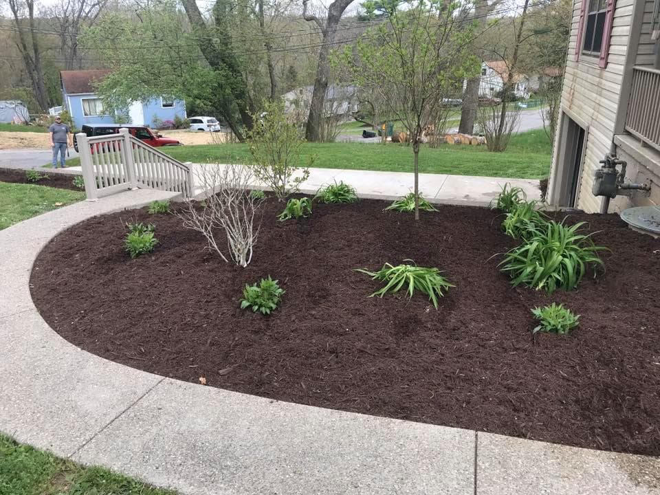 Mulched garden bed with new plants near a house, showcasing landscaping and design.