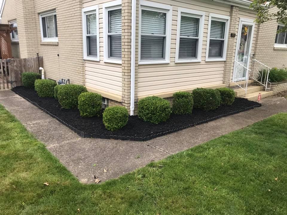Corner of a house with neatly trimmed shrubs and freshly laid black mulch along the pathway.