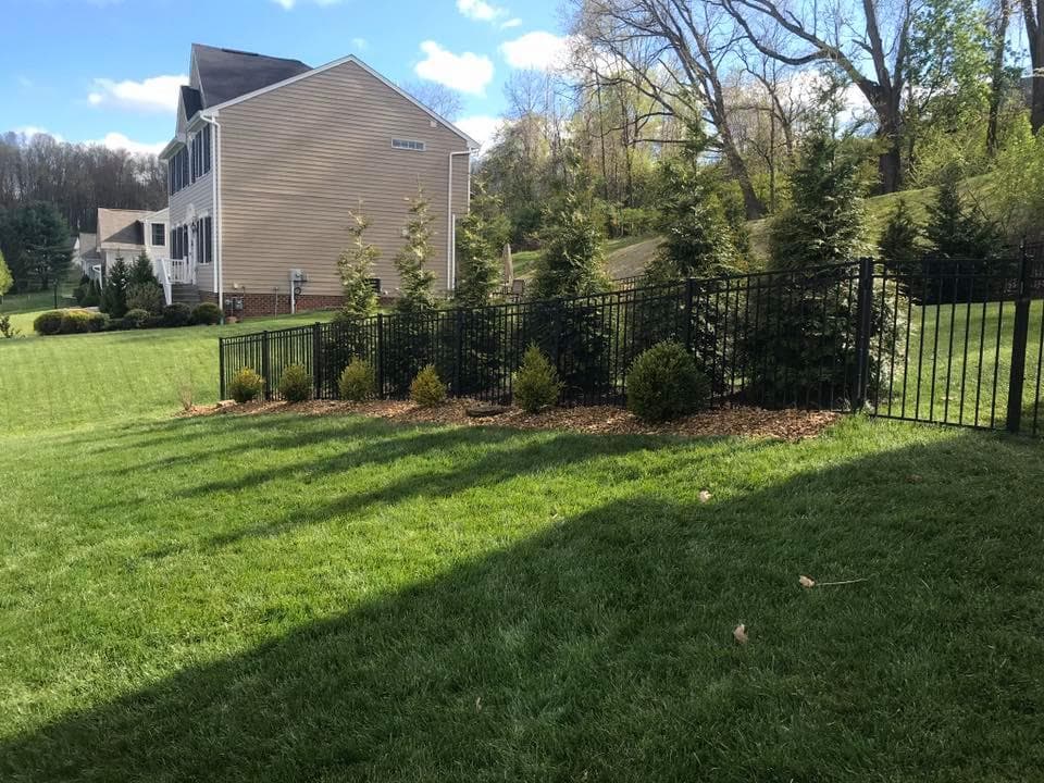 Lush green lawn with manicured bushes and a black fence behind a modern home.