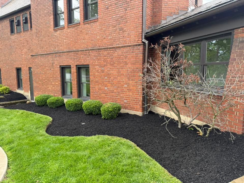 Landscape design featuring green shrubs and black mulch by a brick building exterior.