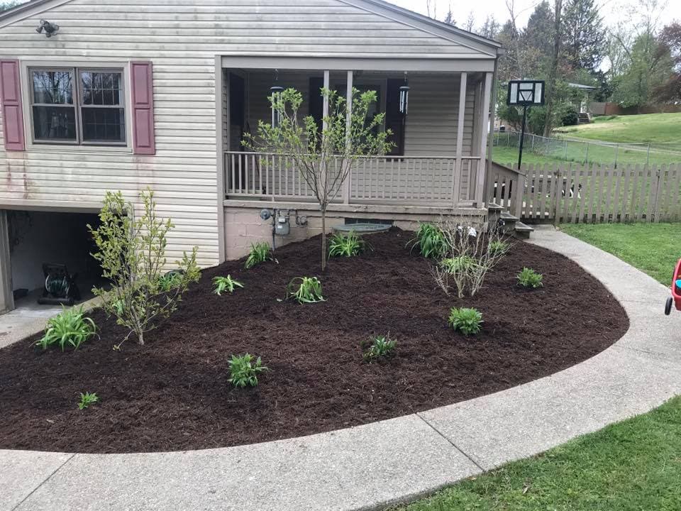 Landscape design featuring freshly mulched garden, young trees, and plants near a home entrance.