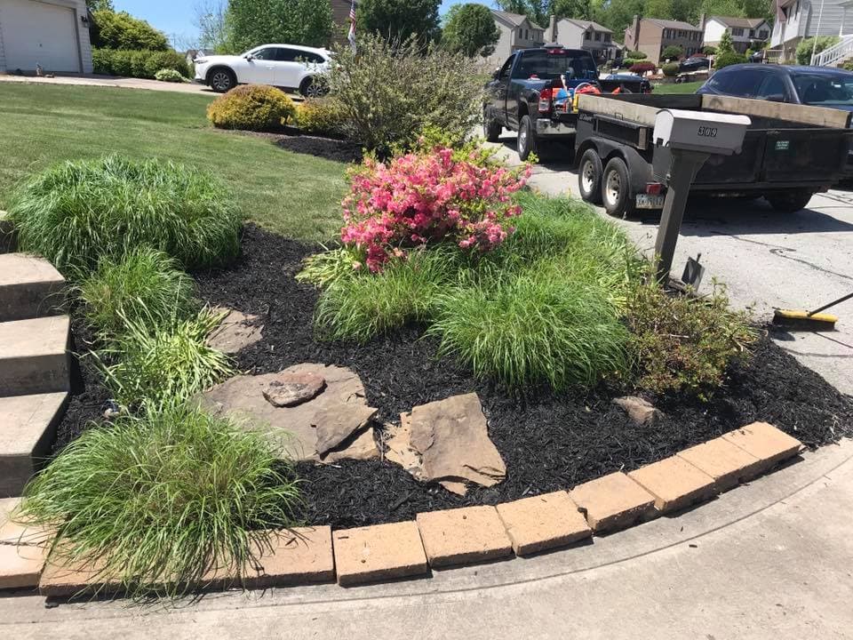 Vibrant flower bed with pink azaleas, decorative stones, and lush grass in residential landscape.