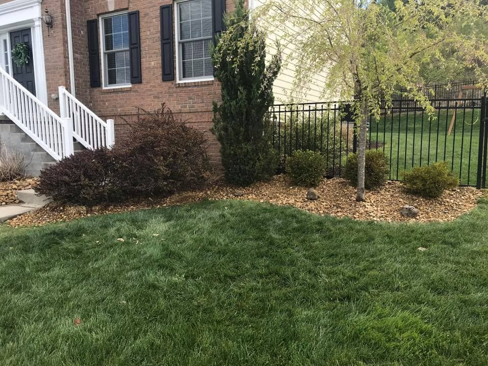 Residential landscape with manicured grass, decorative stones, shrubs, and a black metal fence.