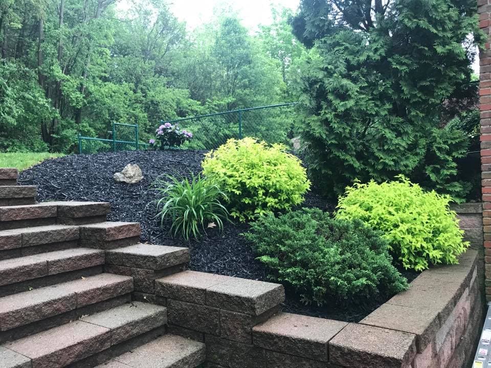 Lush landscaped garden with green shrubs and colorful flowers beside stone steps.
