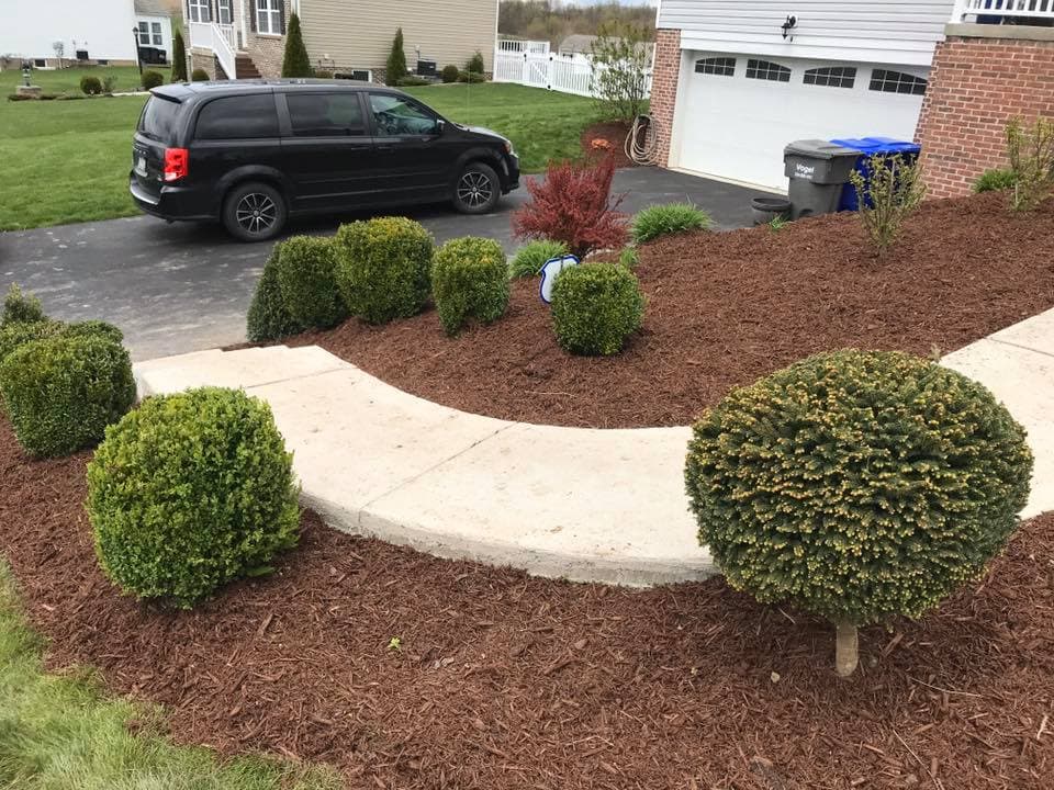 Landscaped yard with trimmed shrubs, mulch, and a driveway with a parked van.