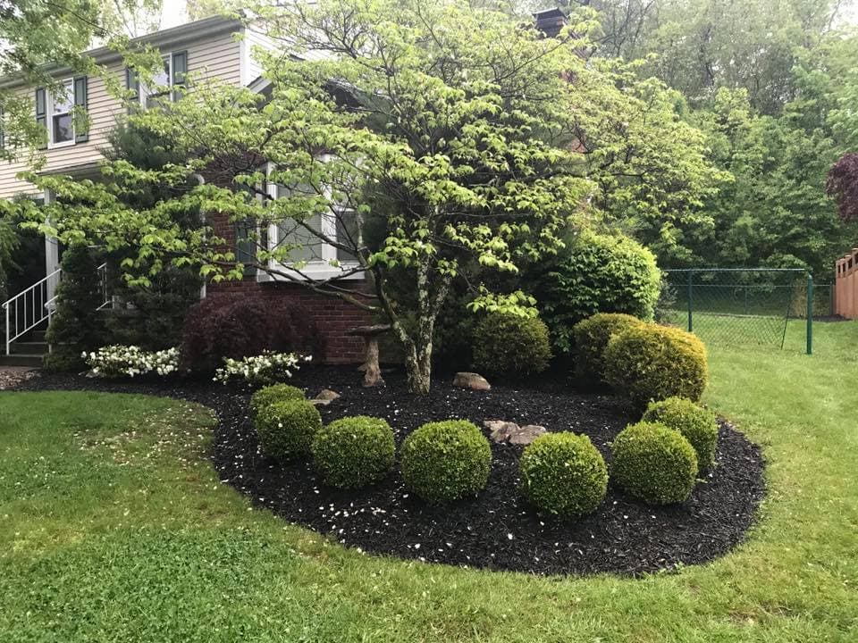 Lush garden landscape with manicured shrubs and a flowering tree around a brick house.