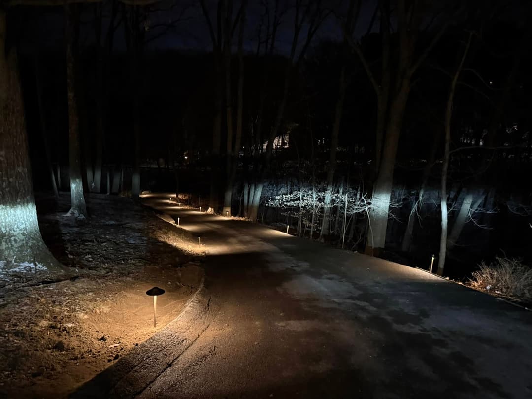 Illuminated pathway with garden lights through trees at night near a river.