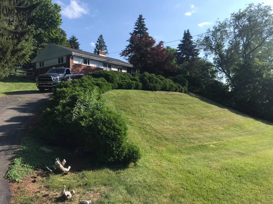 Green lawn and landscaped yard with a house and trees under a clear blue sky.