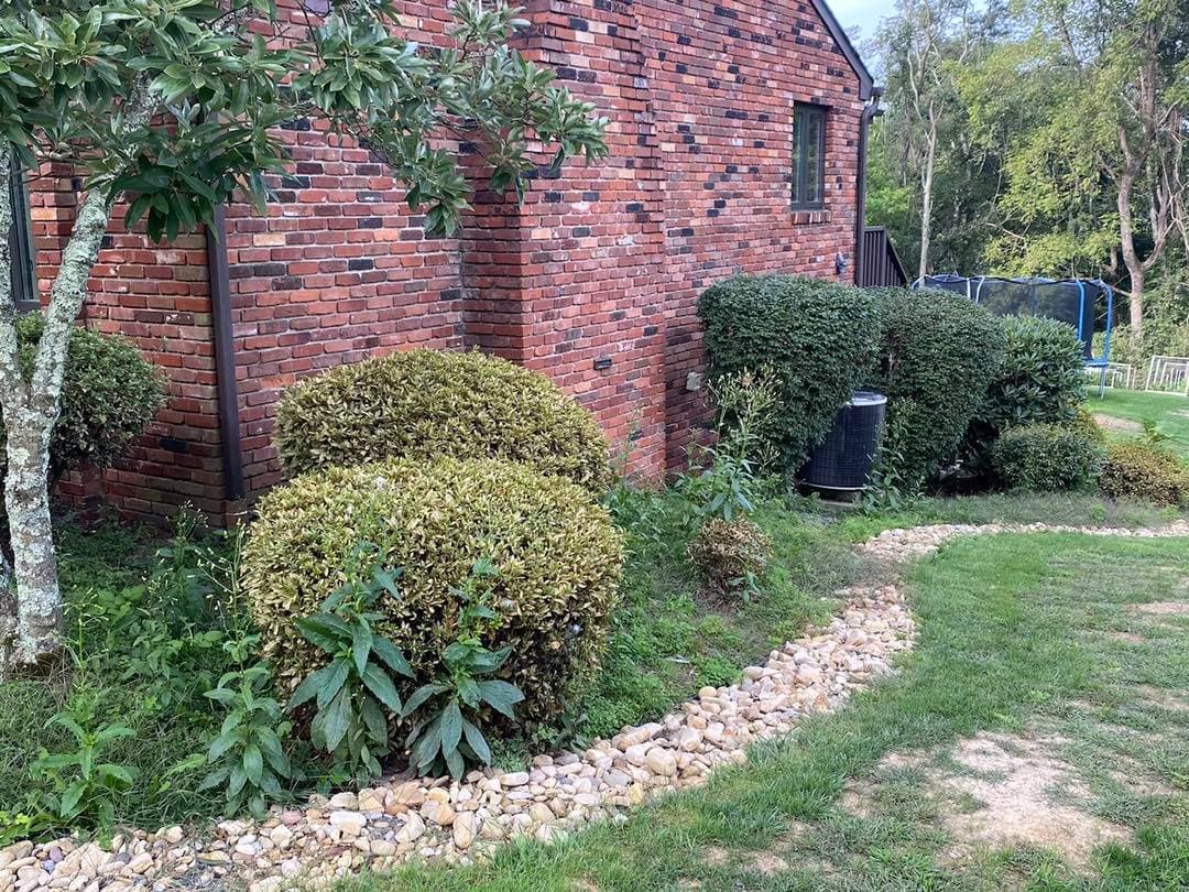 Brick house exterior with neatly trimmed hedges and a pebbled pathway in a lush garden.