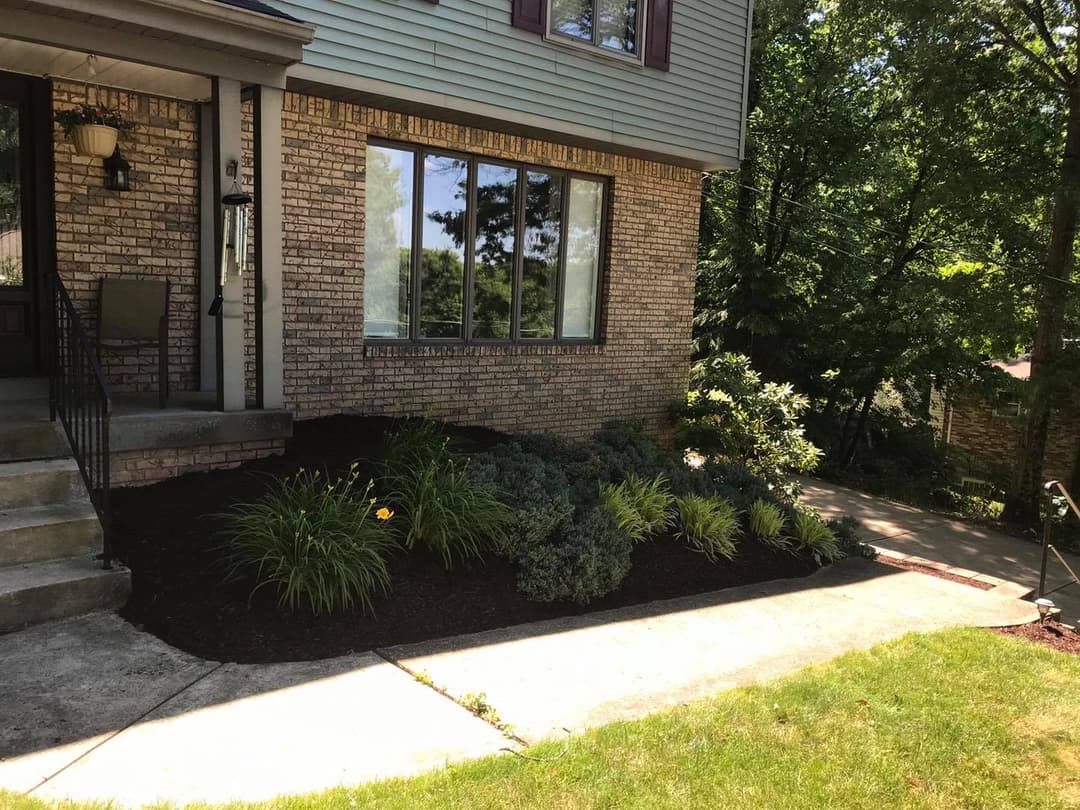 Home exterior featuring a landscaped garden with shrubs and mulch, sunny driveway.