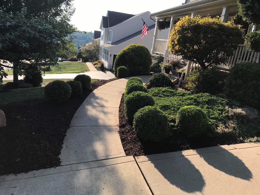 Landscaped walkway leading to houses with bushes and an American flag in the background.
