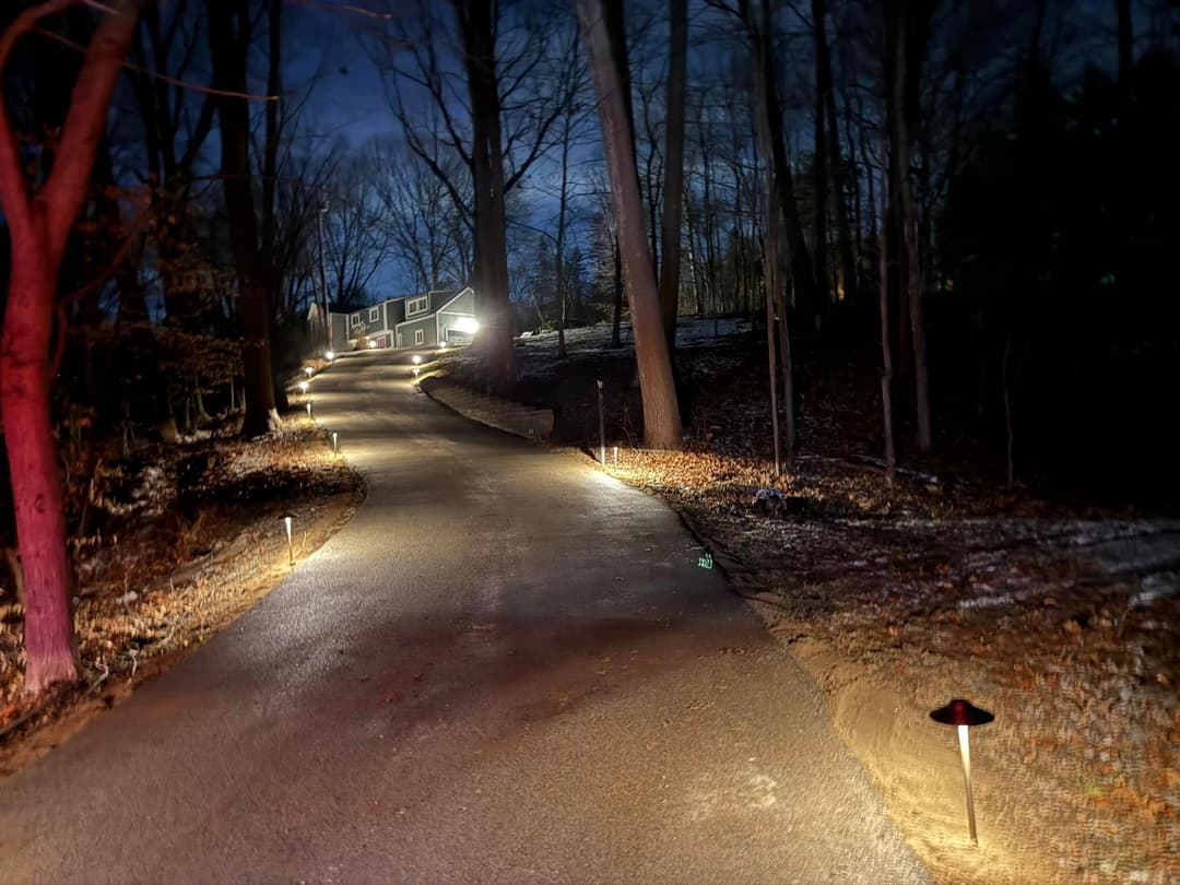 Illuminated driveway winding through trees at night with a house in the background.