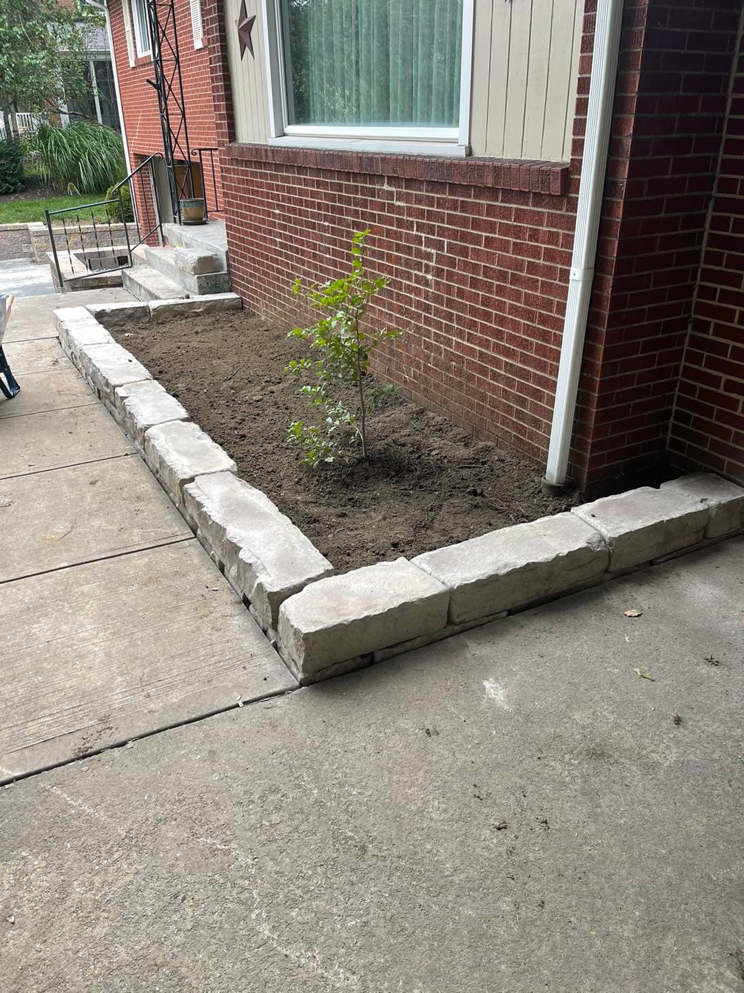Newly landscaped garden bed with stone borders and a small tree planted in fresh soil.