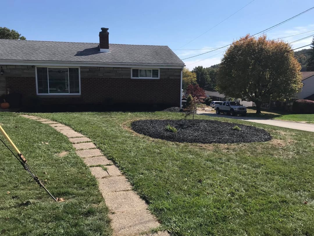 Front yard landscaping with a circular mulch bed around a small tree and stone pathway.