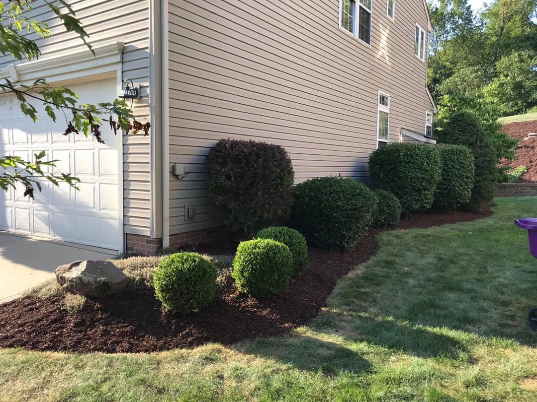 Landscaped yard with shrubs, mulch, and a garage, enhancing home’s curb appeal.