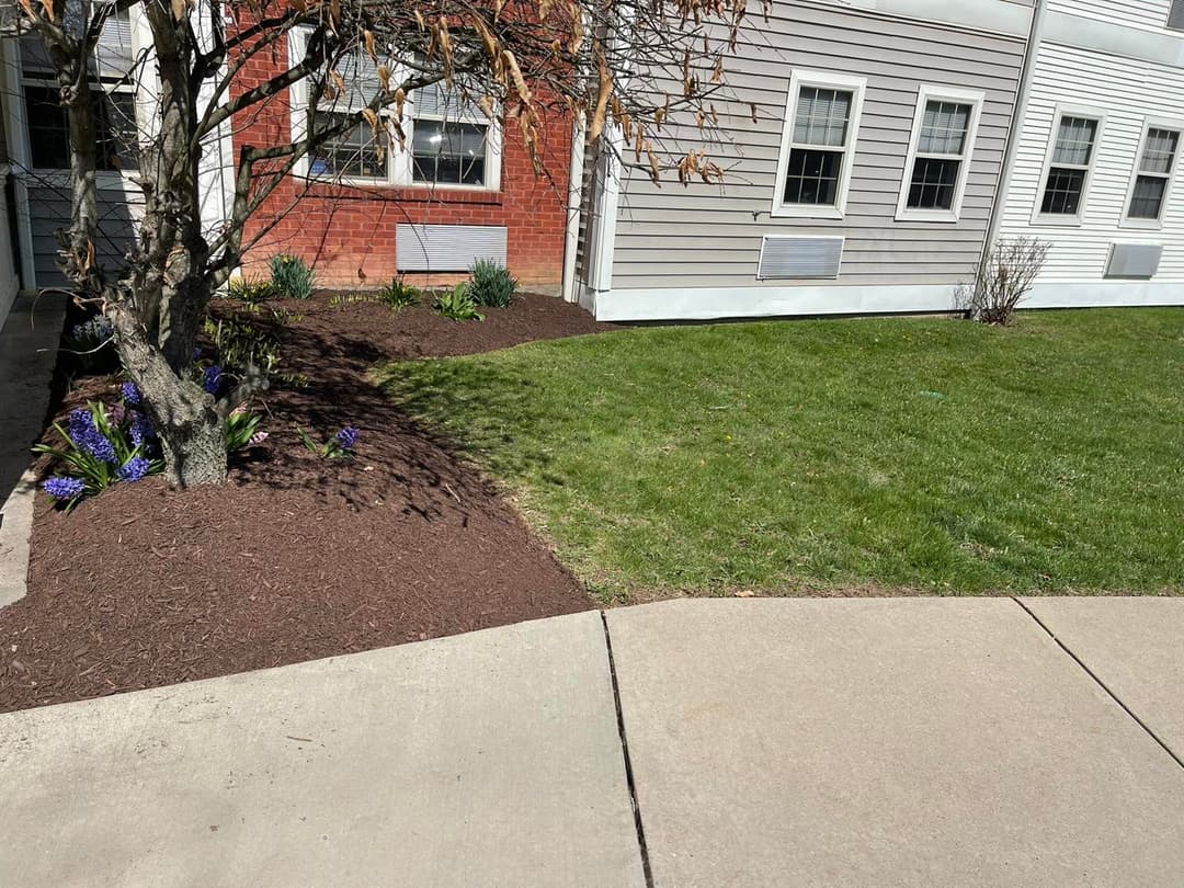 Landscaped area with mulch, purple flowers, and freshly mowed grass beside a building.