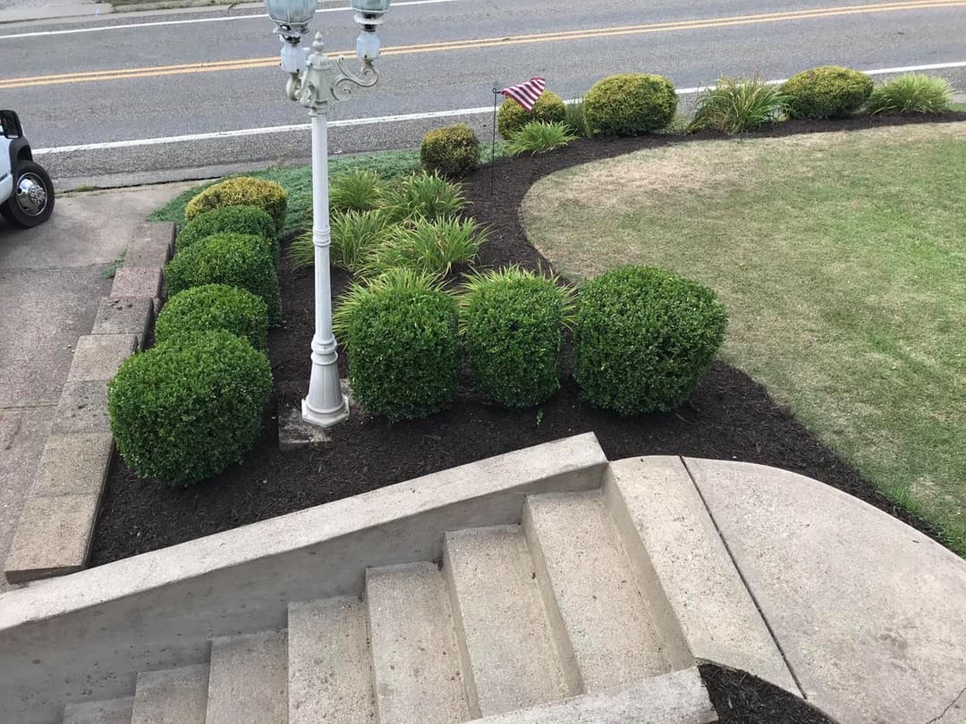 Well-manicured landscape with shrubs, lamppost, and freshly mulched flower beds.