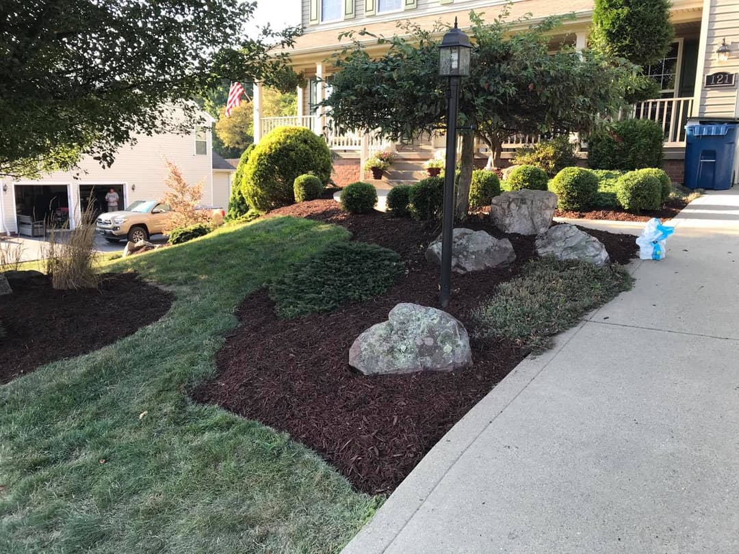 Landscape featuring manicured shrubs, rocks, and mulch in a residential yard.