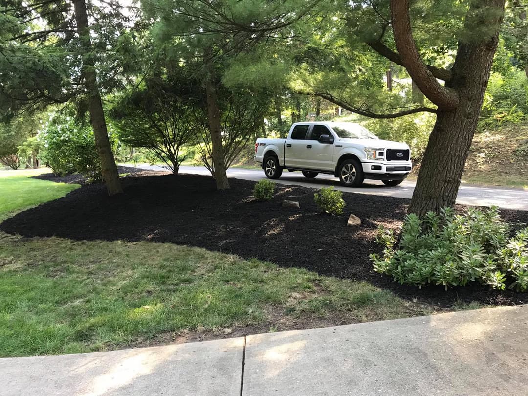 White Ford truck parked beside freshly mulched landscaping and trees on a residential road.