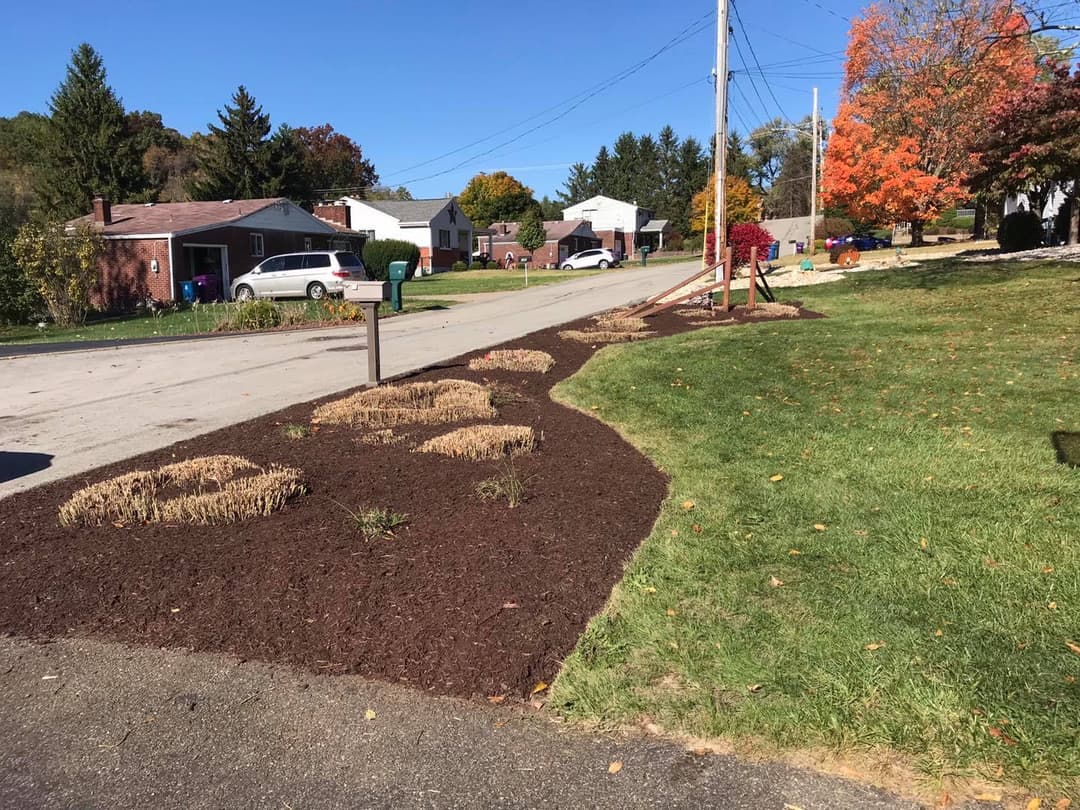 Freshly mulched front yard with plants along a suburban street in autumn. Clear blue sky.