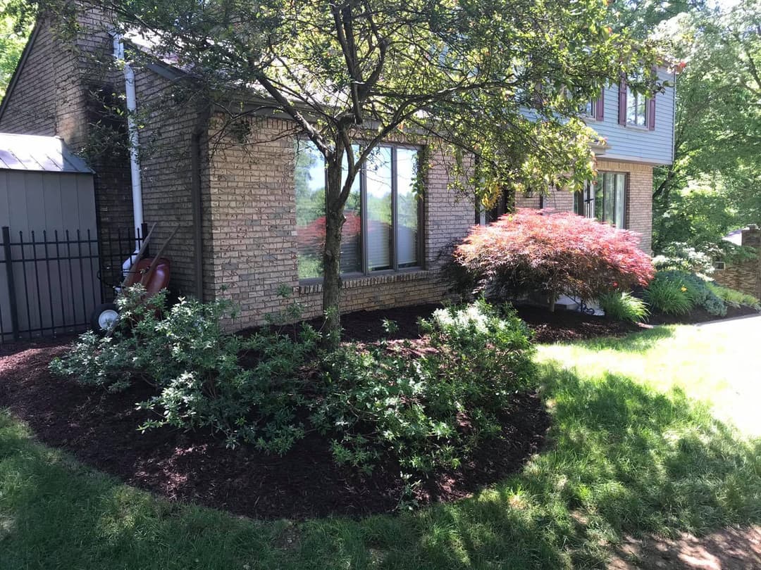 Brick house with landscaped garden, tree, and colorful shrubs in well-maintained yard.