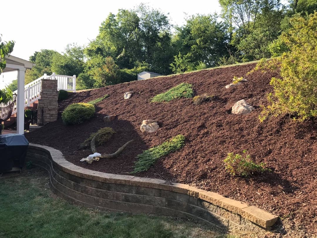 Mulched hillside garden with rocks, shrubs, and landscape stone retaining wall in sunny setting.