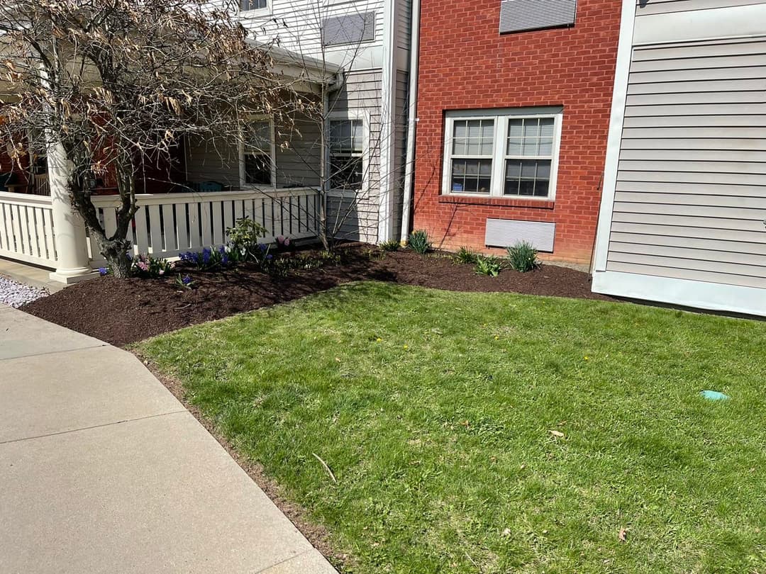 Lawn and garden area featuring brown mulch and flowering plants near a residential building.