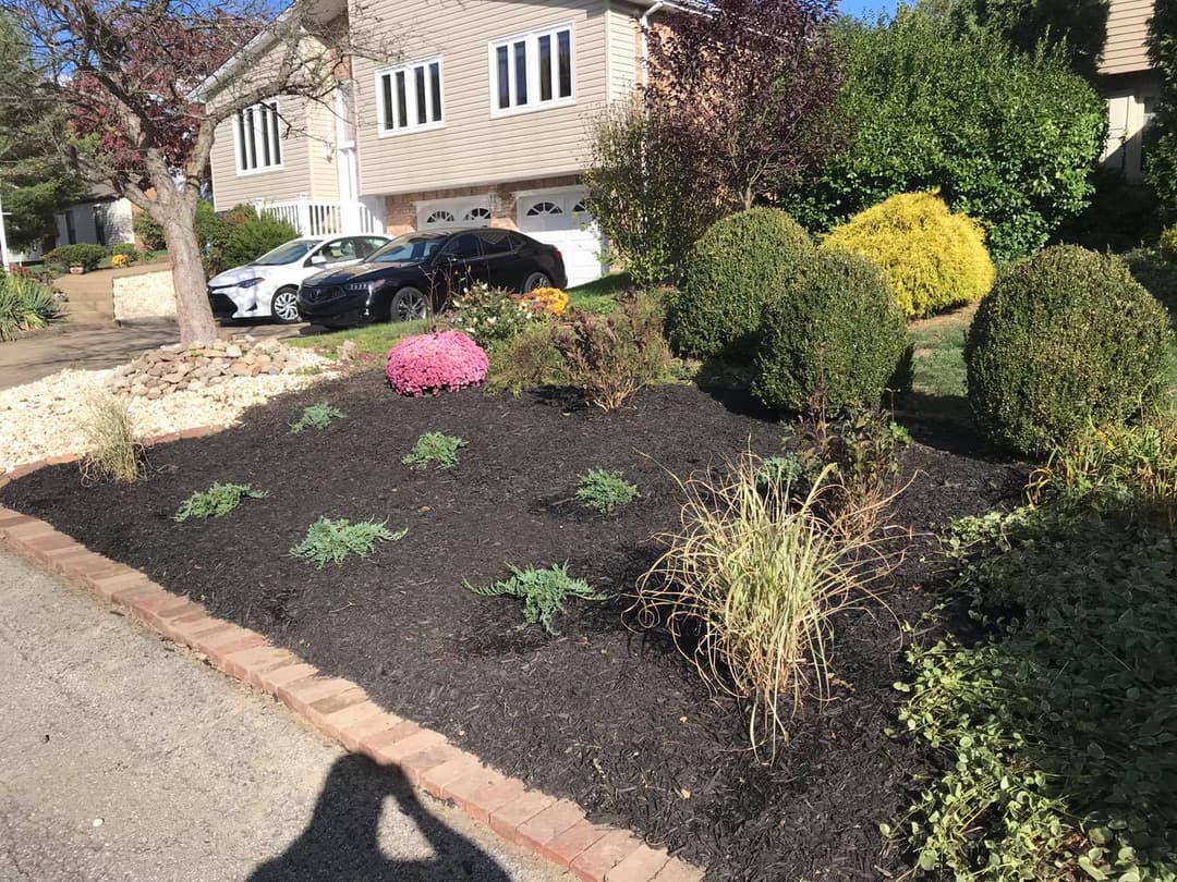 Well-maintained landscaped garden with shrubs, flowers, and stone borders.