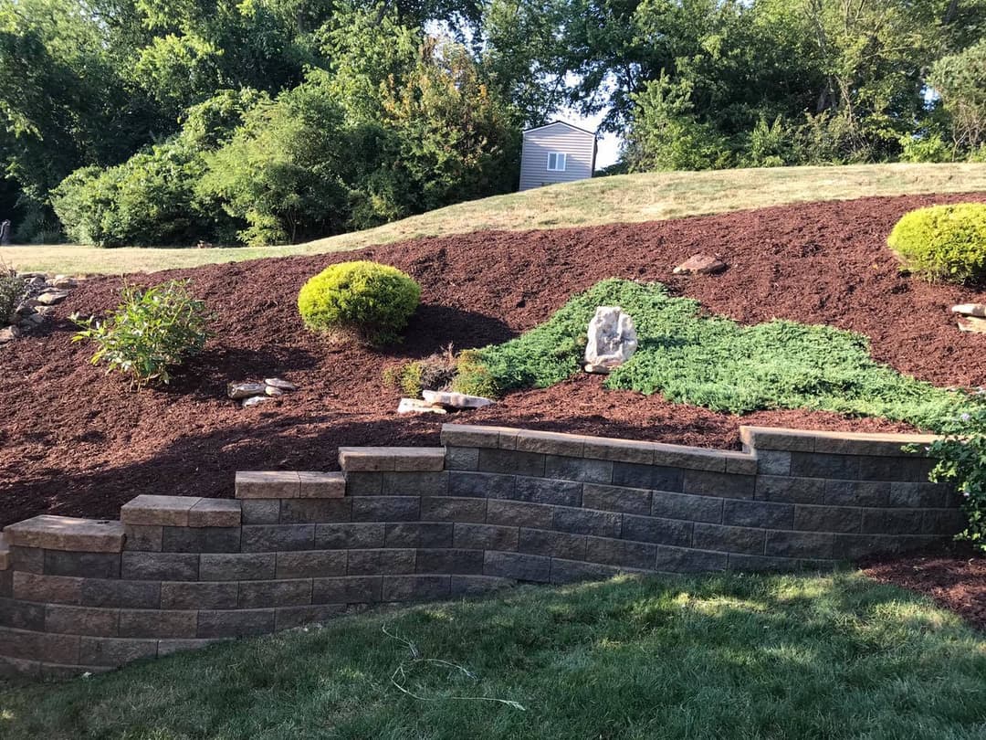 Landscaped garden with stone retaining wall, mulch, and shrubs in a sunny yard.
