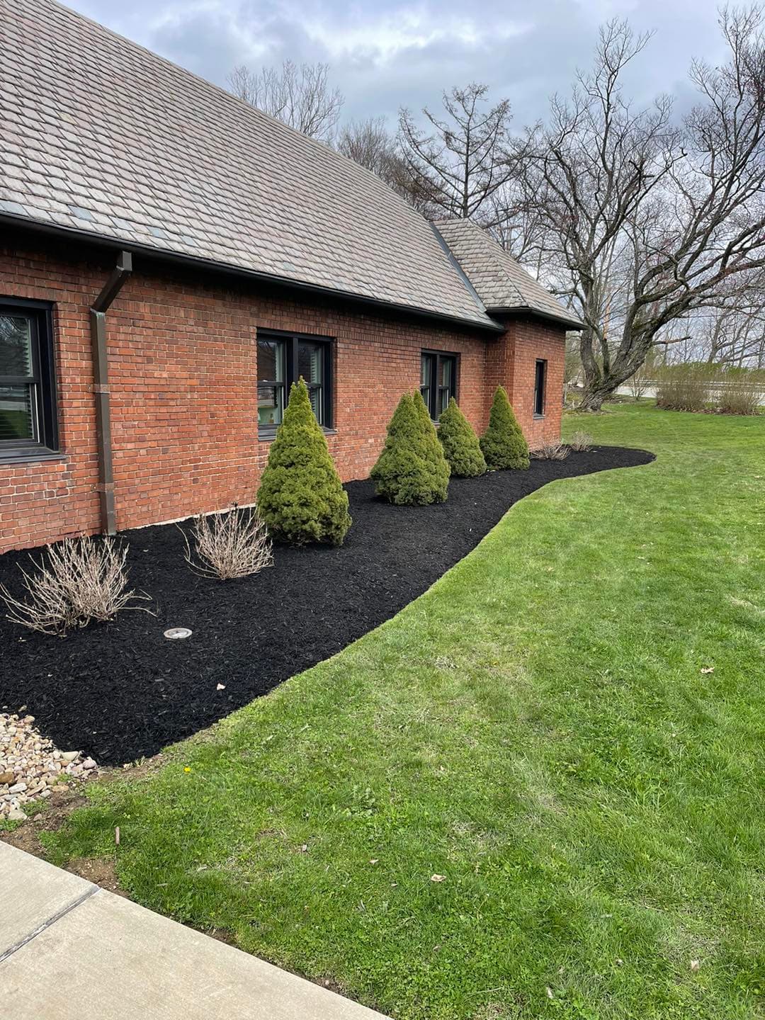 Brick building with landscaped garden, featuring evergreen shrubs and black mulch.