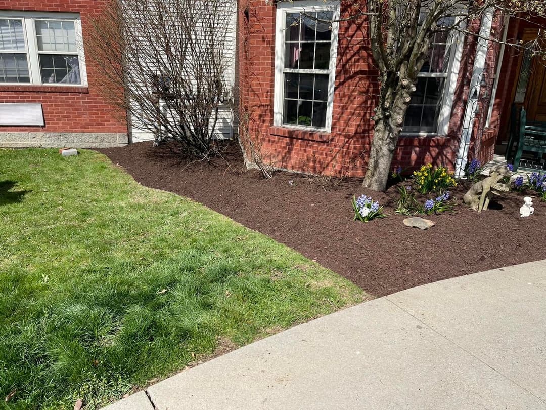 Landscape design featuring fresh mulch, grassy area, and colorful spring flowers by a brick home.