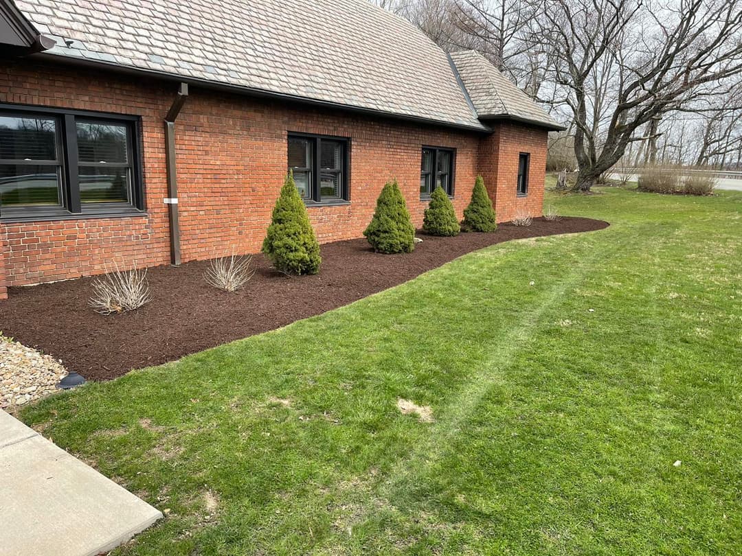 Brick house with landscaping featuring pine shrubs and freshly mulched garden bed.