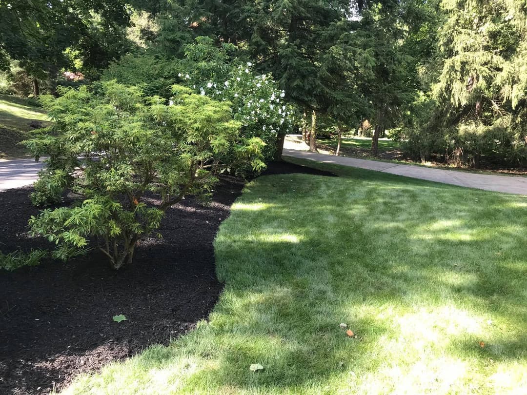 Lush green lawn beside landscaped bushes and trees along a winding path.
