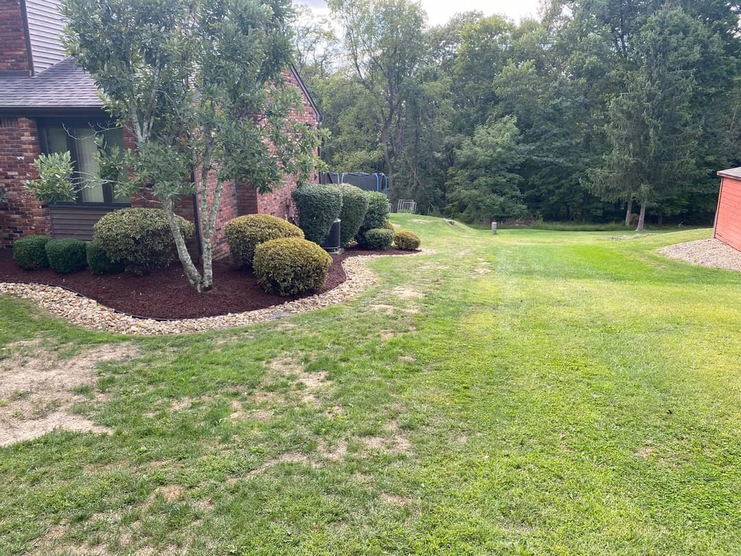 Lush green lawn with landscaped shrubs beside a brick house and wooded area in background.