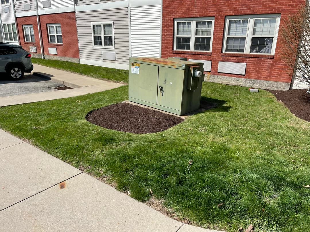 Utility box on grass lawn near residential building with mulch landscaping.